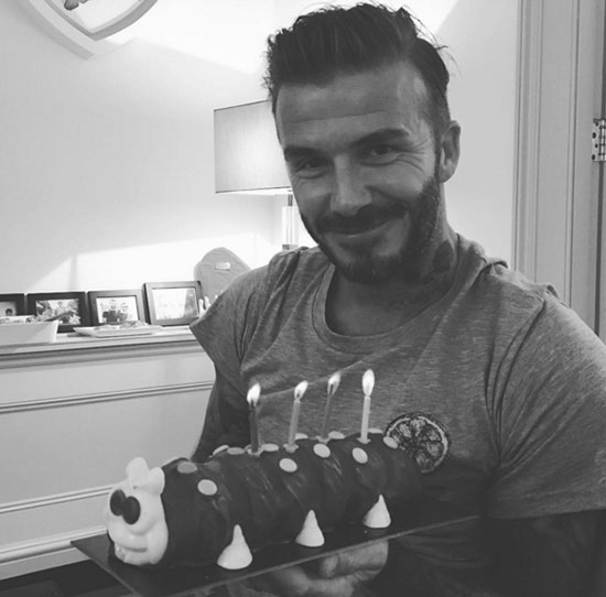 becks