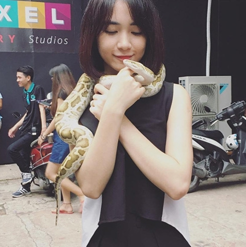 sao Việt
