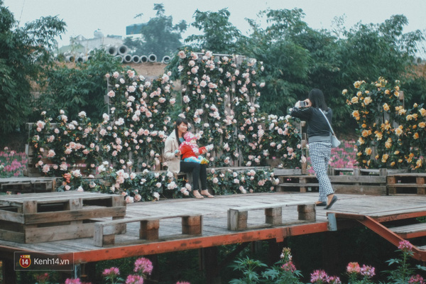 Những ngày này, đây chính là 3 địa điểm chụp hình được ưa thích nhất ở Hà Nội! - Ảnh 10.