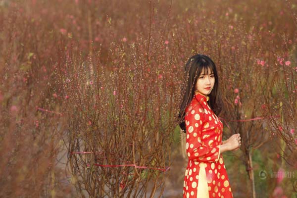 Cô bé trà sữa của Việt Nam được báo Trung ca ngợi là nữ thần hoa đào - Ảnh 2.
