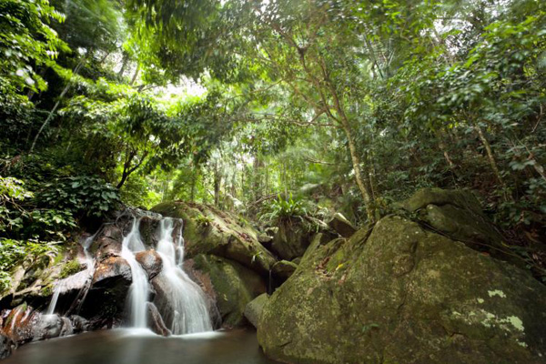 Những dòng thác mềm mại trong rừng ở đảo Tioman.
