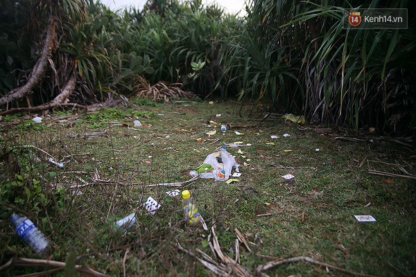 Bãi Xép - Cảnh đẹp Phú Yên trong Hoa vàng trên cỏ xanh bắt đầu ngập đầy rác - Ảnh 10.