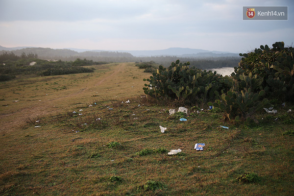 Bãi Xép - Cảnh đẹp Phú Yên trong Hoa vàng trên cỏ xanh bắt đầu ngập đầy rác - Ảnh 9.