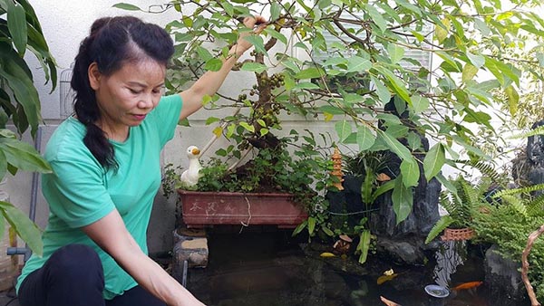 Không chỉ dọn dẹp không gian sống chính, rất nhiều lần mẹ Hồ Ngọc Hà tự tay chăm sóc cây cối tại nhà.
