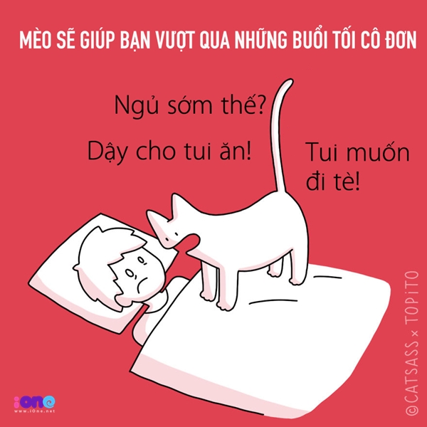 Với bản tính thích quấy rầy của lũ mèo nặc nô, bạn sẽ không còn những đêm yên tĩnh để đối diện với nỗi buồn, mà thay vào đó là phải thức dậy để hầu hạ phục tùng chúng.