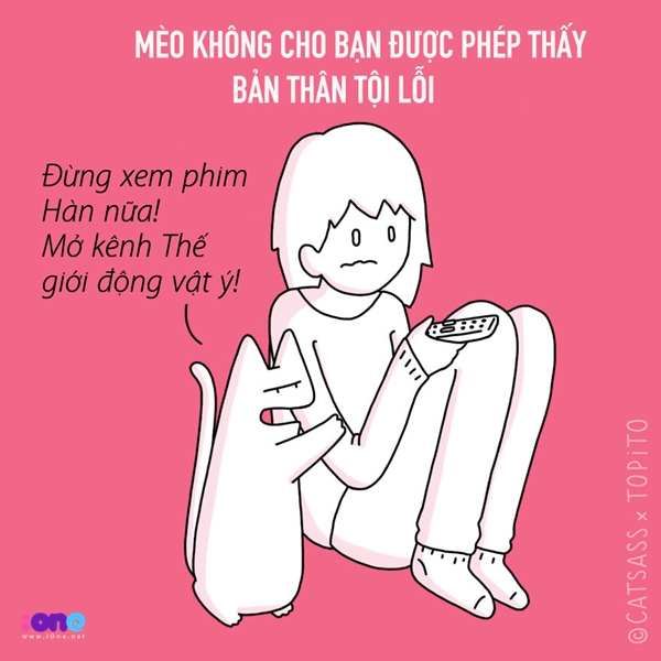 Nếu bạn sa lầy vào những bộ phim chỉ khơi gợi nỗi buồn thì bọn mèo là cách tốt nhất để giúp bạn trở về với thực tại và nhận ra còn khối thứ phải lo hơn là chuyện yêu đương nhăng nhít.