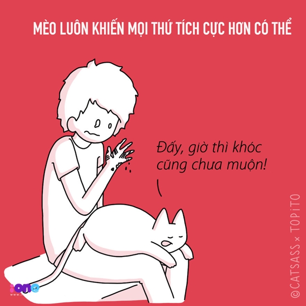 Mèo sẽ khiến bạn dở khóc dở cười và nhận ra có những nỗi buồn chẳng đáng quan tâm tẹo nào!