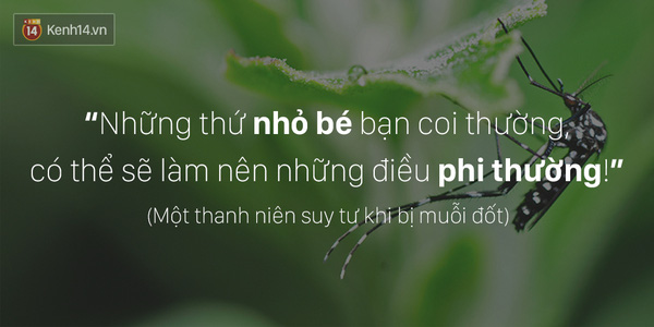 Ngay cả những chuyện tào lao, ta cũng có thể biến thành status sống ảo... - Ảnh 7.