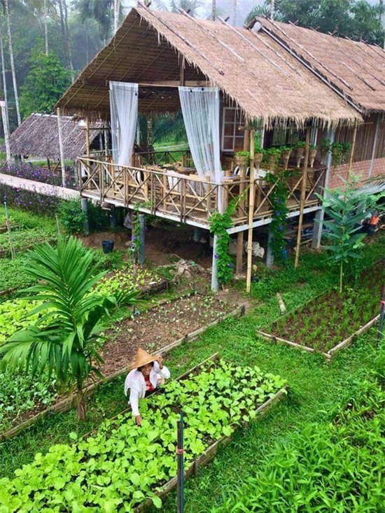 Ngôi nhà giữa vườn rau này đang được cư dân mạng Việt share điên đảo! - Ảnh 2.