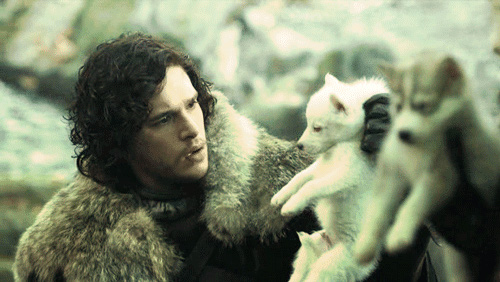Jon Snow sẽ trở lại trong mùa 6 Game of Thrones - Ảnh 2.