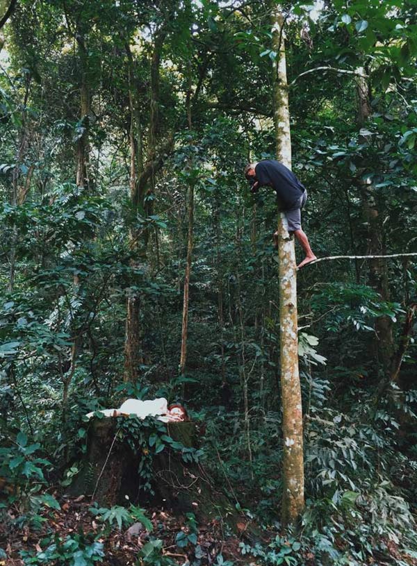 Trước khi học chụp ảnh, anh cũng đã học lớp kĩ năng trèo cây. Ảnh: Hai Le Cao.
