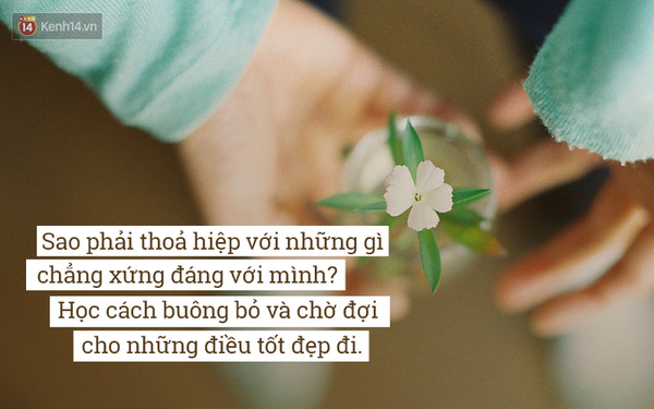  - Ảnh 8.