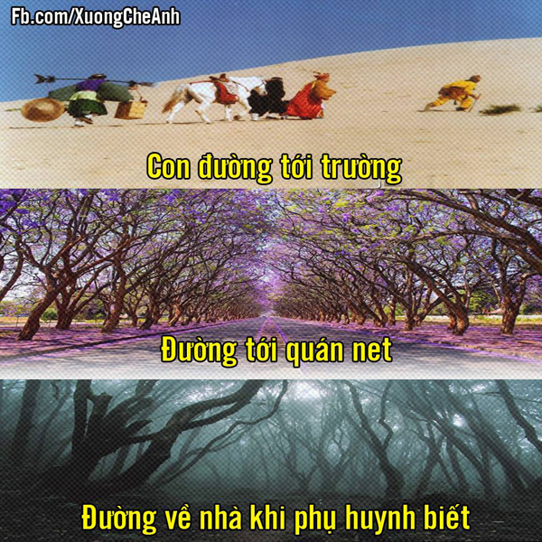 cuoi-te-ghe-17-3-trai-lop-minh-trai-lop-nguoi-ta-khac-nhau-troi-vuc-6