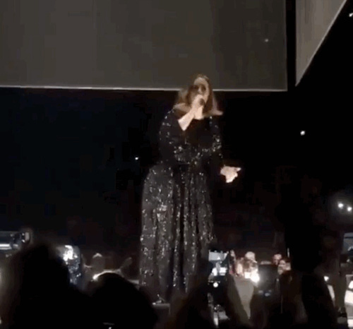 Adele trổ tài twerk trên sân khấu khiến fan cười bò - Ảnh 2.