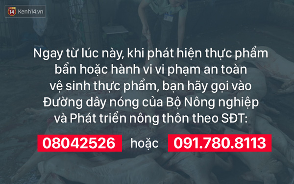 Chúng ta đang nuôi sống thực phẩm bẩn khi cứ không ngừng đòi được ăn rẻ, rẻ hơn, rẻ mãi - Ảnh 3.