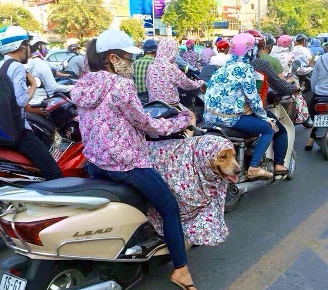 Muôn kiểu chống chọi với  chảo lửa  ngày hè khi ra phố