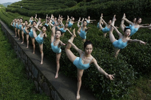 Gái trẻ vừa múa ballet vừa hái chè bị &#34;ném đá&#34; tới tấp - 1