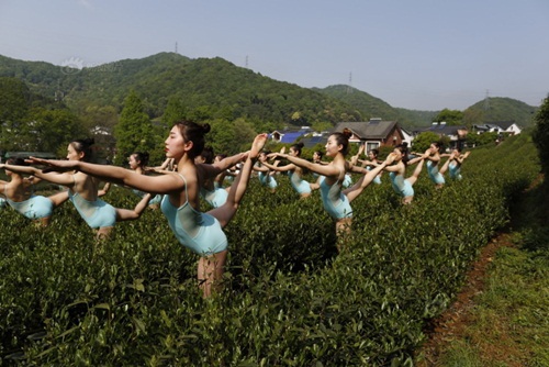 Gái trẻ vừa múa ballet vừa hái chè bị &#34;ném đá&#34; tới tấp - 2