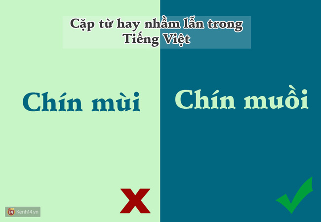 10 cặp từ ai ai cũng hay bị lẫn lộn trong tiếng Việt - Ảnh 2.