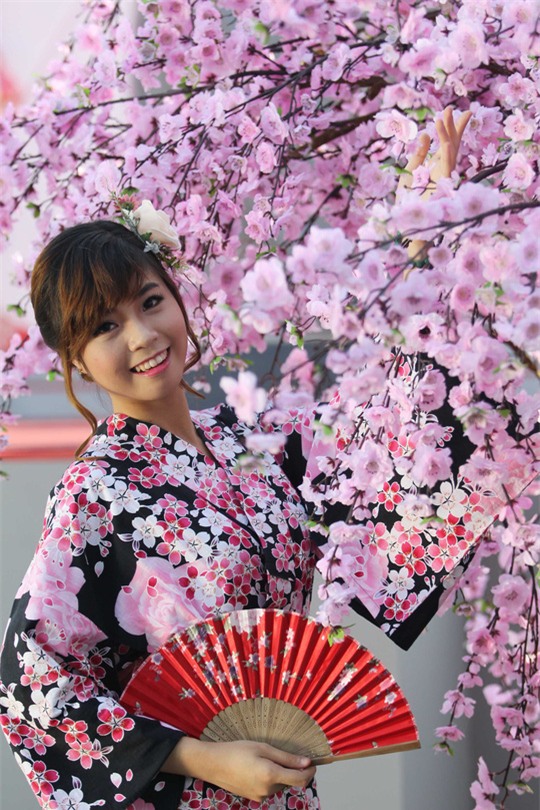  Nhiều thiếu nữ Sài Thành còn chuẩn bị sẵn trang phục truyền thông của Nhật Bản và thuê luôn anh thợ ảnh ghi lại cảnh thiếu nữ bên hoa anh đào 