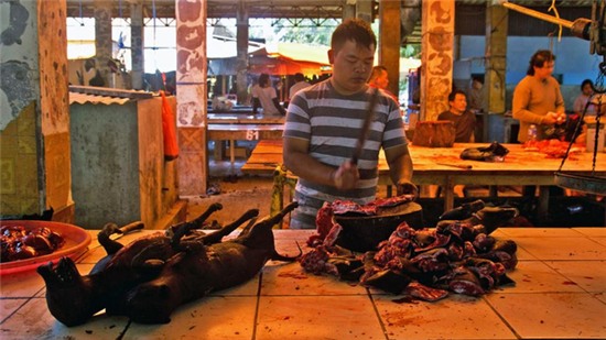  Một quầy bán thịt chó trong chợ 