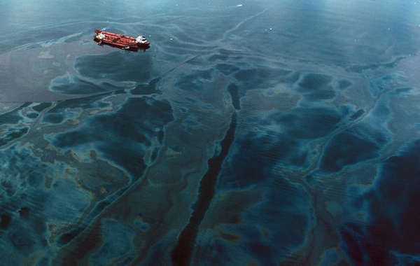 Ngày 24/3/1989, tàu chở dầu Exxon Valdez bị mắc cạn ở bờ biển Prince William Sound, Alaska, làm tràn ra 34.000 tấn dầu trị giá 38 triệu USD. Năm 2003, một nhóm nghiên cứu của trường ĐH North Carolina đưa ra báo cáo cho thấy nhiều loài sinh vật biển như rái cá, vịt harlequin, cá voi sát thủ đã bị sụt giảm với số lượng lớn và môi trường sống ven biển sẽ phải mất khoảng 30 năm để khôi phục. Ảnh: Natalie Fobes/Corbis.