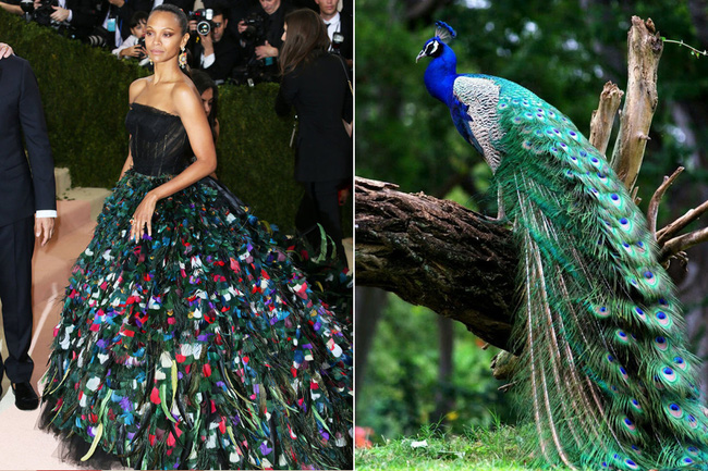 22 hình ảnh cho thấy Met Gala 2016 cũng chỉ như một trò đùa! - Ảnh 13.