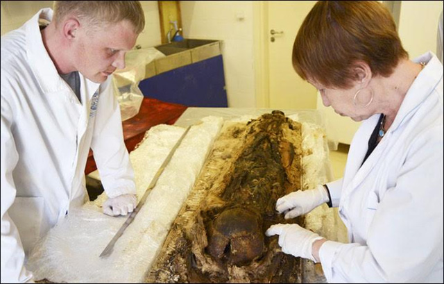  Các nhà khoa học xét nghiệm DNA cho xác ướp từ thời trung cổ. 