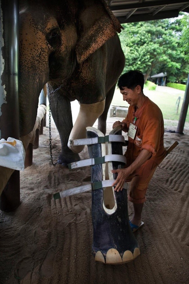 20 buc anh chung minh tinh nguoi luon ton tai quanh ta hinh anh 4