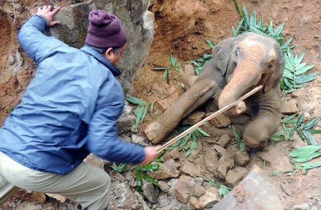 20 buc anh chung minh tinh nguoi luon ton tai quanh ta hinh anh 11