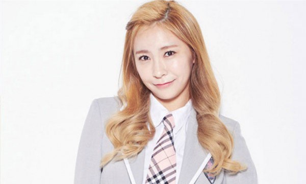 Những người đẹp từng được nhắm vào đội hình SNSD