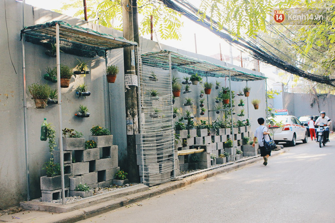 Nhóm sinh viên Hà Nội biến bãi rác dọn 10 năm không sạch thành một vườn hoa - Ảnh 18.