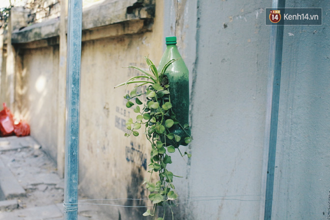 Nhóm sinh viên Hà Nội biến bãi rác dọn 10 năm không sạch thành một vườn hoa - Ảnh 8.