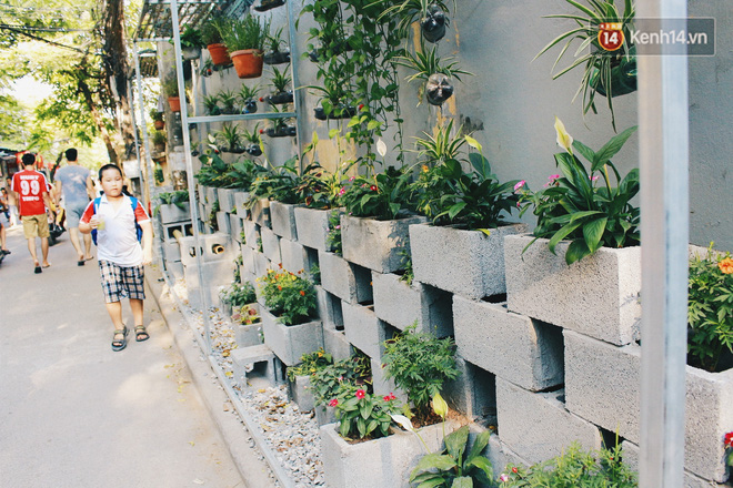 Nhóm sinh viên Hà Nội biến bãi rác dọn 10 năm không sạch thành một vườn hoa - Ảnh 14.