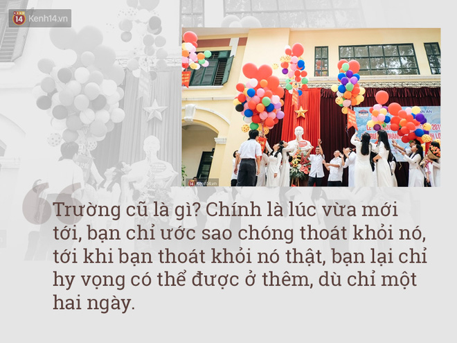 Mùa chia tay, hãy đọc những trích dẫn này để thấy cấp 3 là khoảng thời gian đẹp nhất! - Ảnh 9.