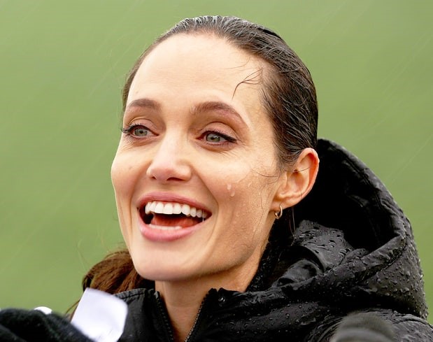 Angelina Jolie lam giao su thinh giang o dai hoc hinh anh 2