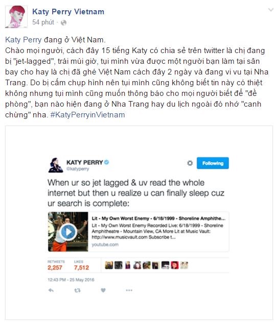Katy Perry bi mat den Viet Nam? hinh anh 2