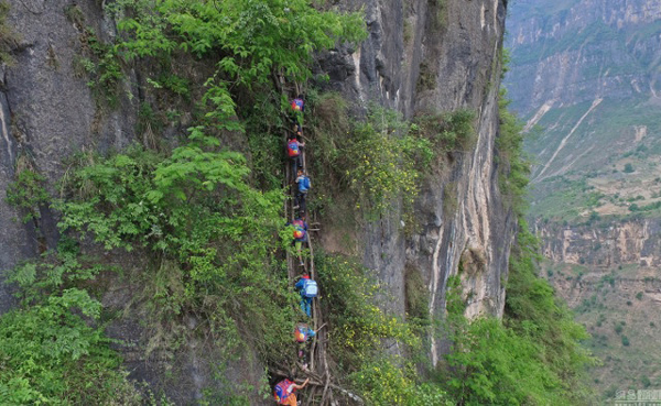 Every day the 15 children that live at Atule'er Village in southernmost Sichuan must climb up and down a set up 17 ladders placed against an 800 meter tall cliff in order to go to school, NetEase reports.
