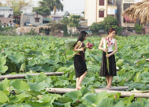 Thiếu nữ Hà thành diện áo yếm váy đụp bên đầm sen đầu hạ