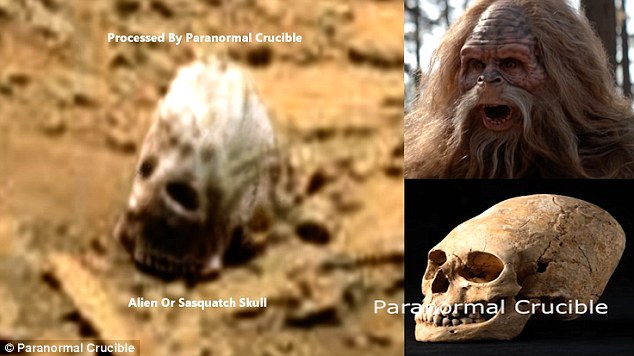  Vật thể giống xương sọ của quái vật Sasquatch trong truyền thuyết. 