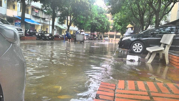 Lũ lụt hay hạn hán thì khổ nhất cũng là sinh viên