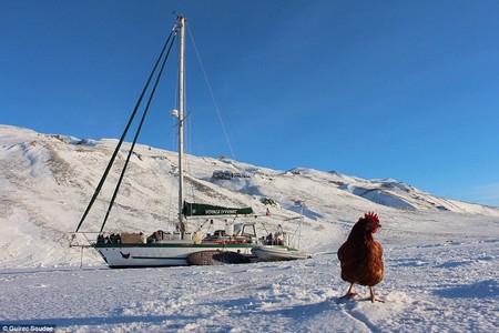 Monique trong chuyến thăm đến đảo Greenland