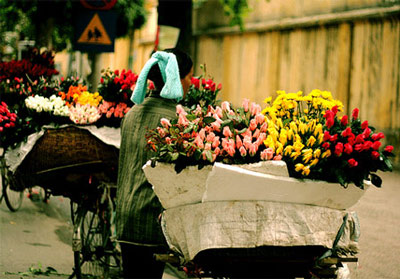 Những ngày đã cũ