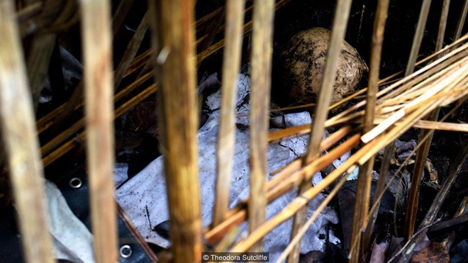 Trunyan là một trong những ngôi làng của tộc người Bali Aga ở Đông Bắc Bali, Indonesia. Trong khi người theo đạo Hindu dùng phương pháp hỏa táng thì dân làng Trunyan lại an táng người chết bằng cách đặt thi hài của họ ở ngoài trời, dưới tán của một cây cổ thụ. Việc để thi thể tự phân hủy ngoài trời là một nghi lễ tôn giáo rất độc đáo của dân làng nơi đây và nó bắt nguồn từ việc dân làng Trunyan sợ làm thần Brahma trong đạo Hindu - tức là núi lửa - nổi giận.