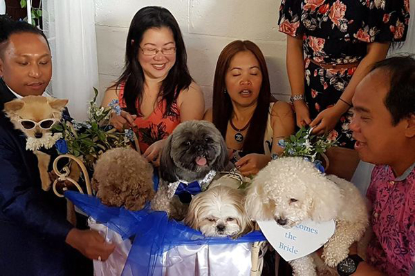 There was even a special table full of dog food for the four-legged guests, with a beautiful three-tiered wedding cake for them to eat.