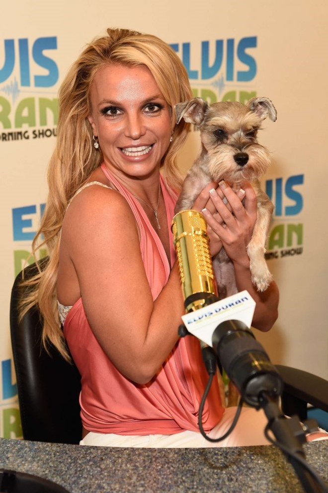 Sau man hat nhep tai VMAs, Britney Spears muon co em be hinh anh 1