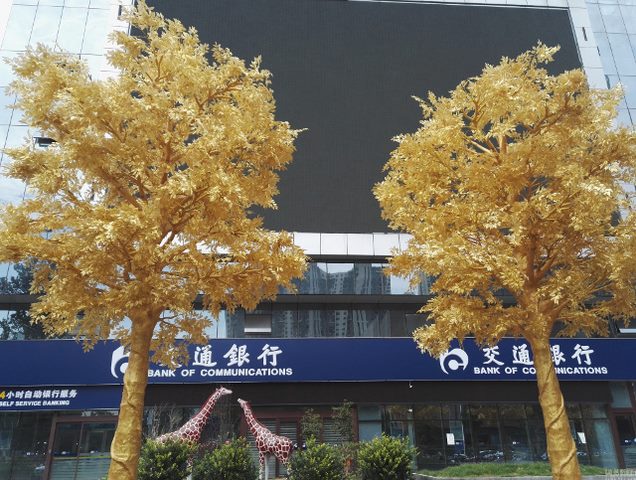 Trước cửa Ngân hàng Thông tin ở thành phố Trịnh Châu, Trung Quốc, 6 cây xanh được phủ vàng ròng 'lóa mắt' khiến người dân hết sức sửng sốt.