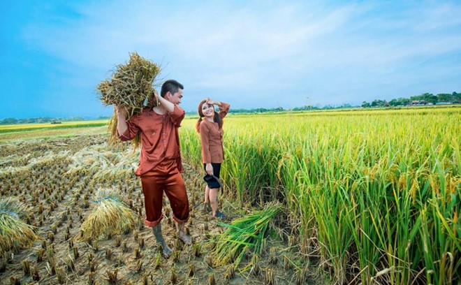 Anh cuoi ben dong lua chin cua doi tre yeu nhau 8 nam hinh anh 5