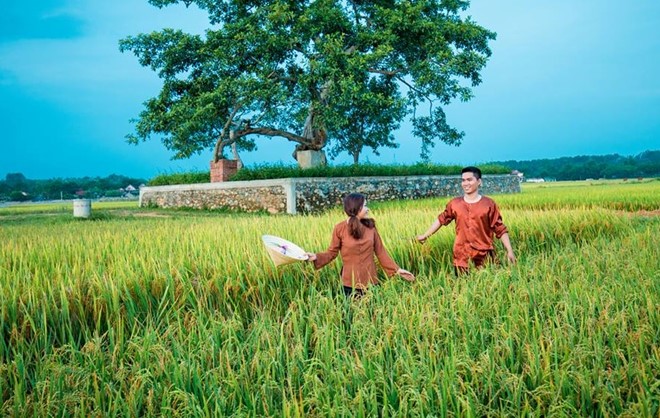 Anh cuoi ben dong lua chin cua doi tre yeu nhau 8 nam hinh anh 9