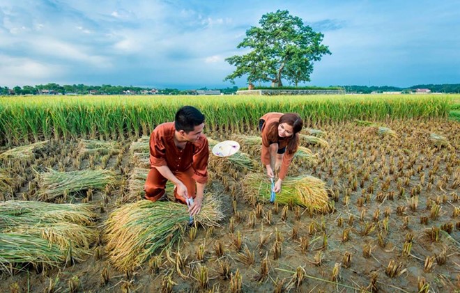 Anh cuoi ben dong lua chin cua doi tre yeu nhau 8 nam hinh anh 8